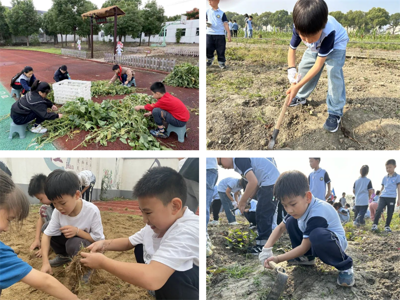 图片4.png 图片4.png