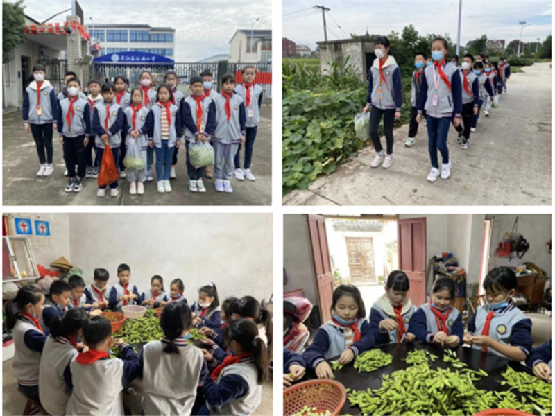 图片7.png 图片7.png