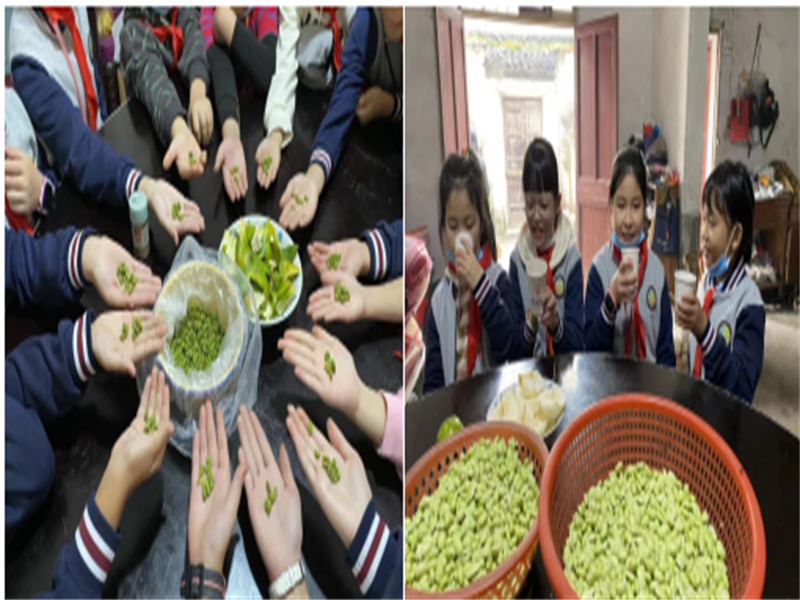 图片10.png 图片10.png