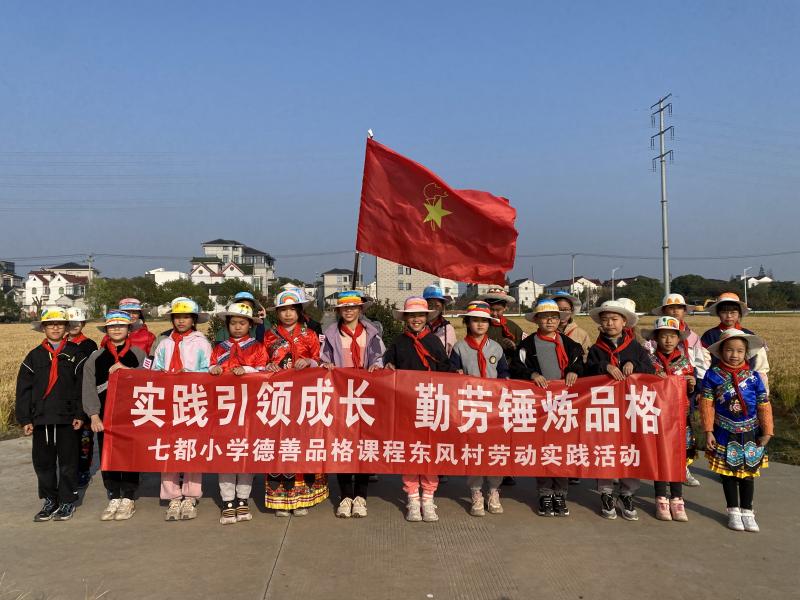 IMG_7950.JPG IMG_7950.JPG